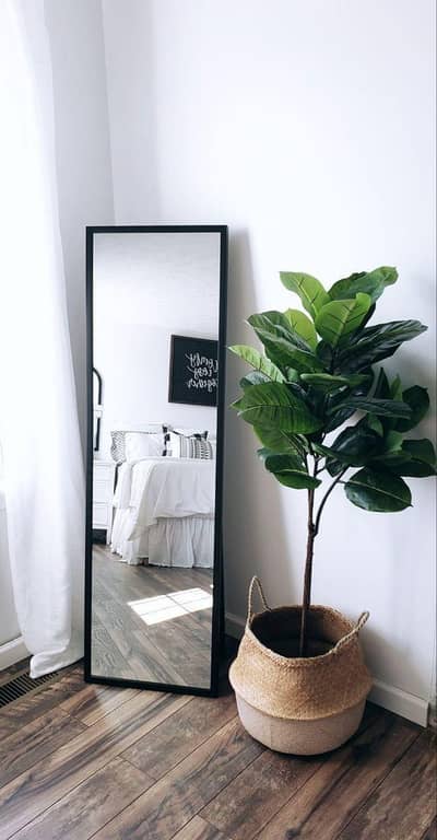 Royal stand led Miror