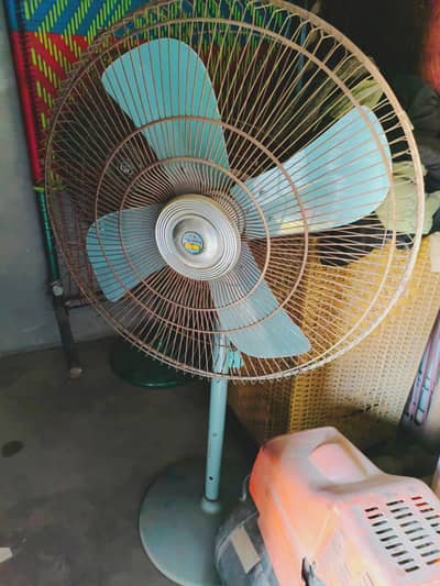 Super Asia Fan