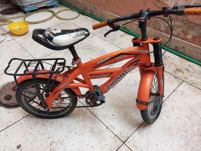 Bike Cycle & Rollers Stake Shoes