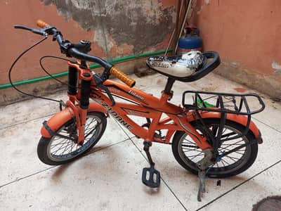 Bike Cycle & Rollers Stake Shoes