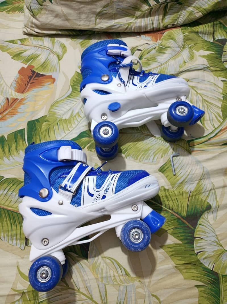 Rollers Stake Shoes 2