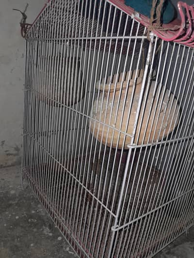 Bird Cage