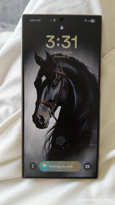 Samsung s24 ultra 12/512