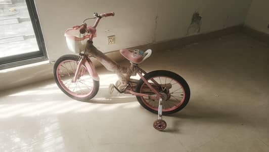 Girls Bicycle / Cycle