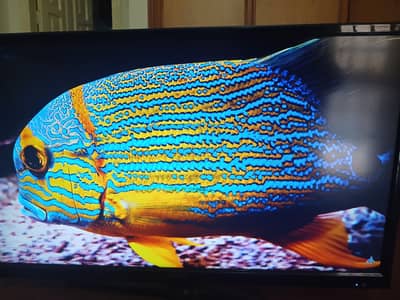 sony tv for sale 20000 pkr