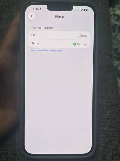 Iphone 13 pro max 256gb