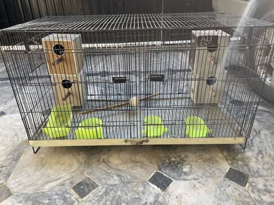 Bird Cage for Sale