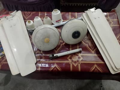 ceiling fan sale (Royal Company)