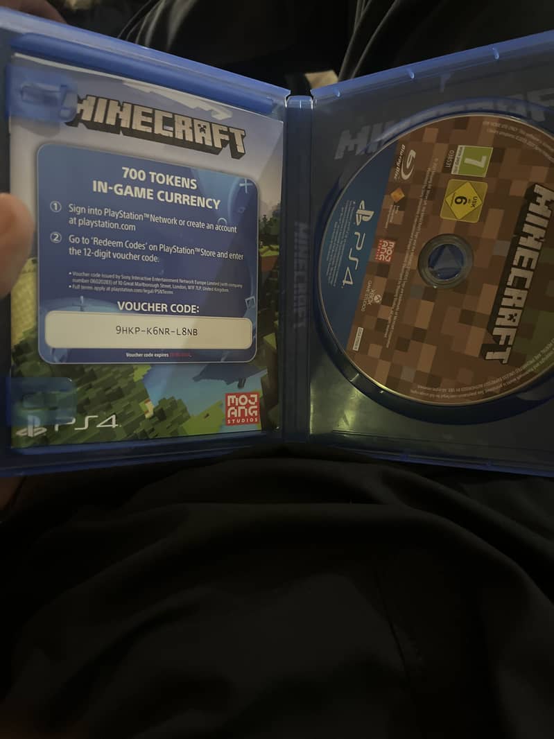 Minecraft PS4 1