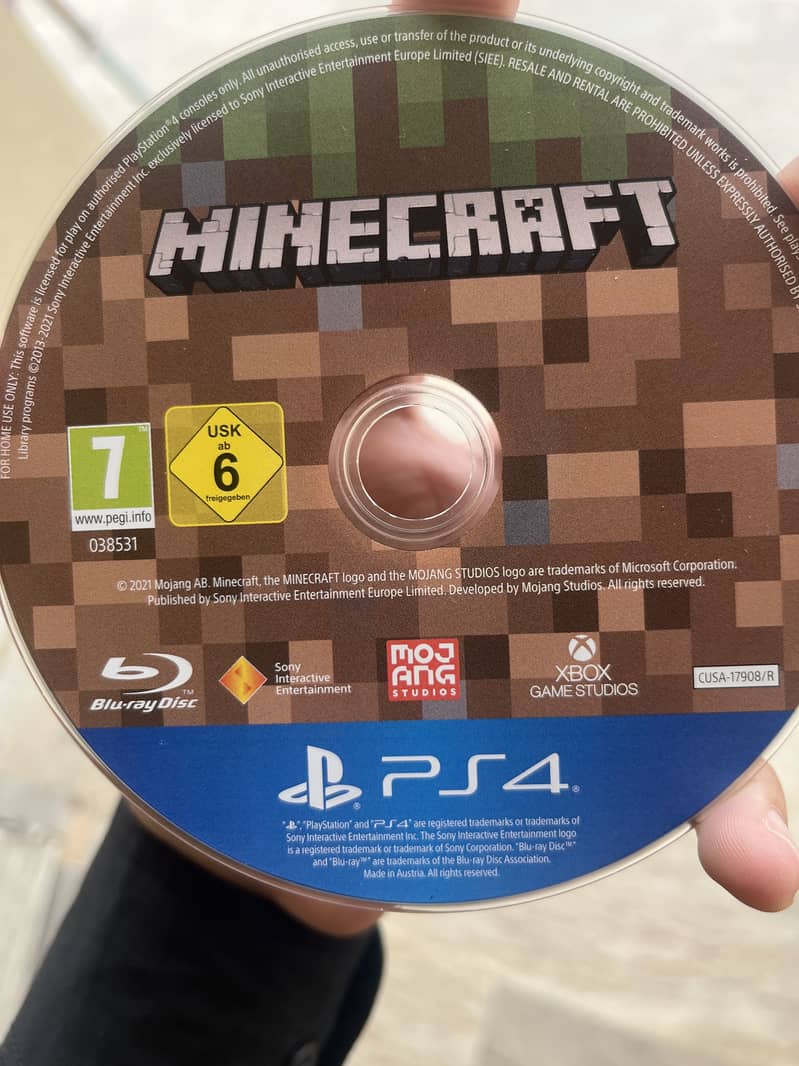 Minecraft PS4 2