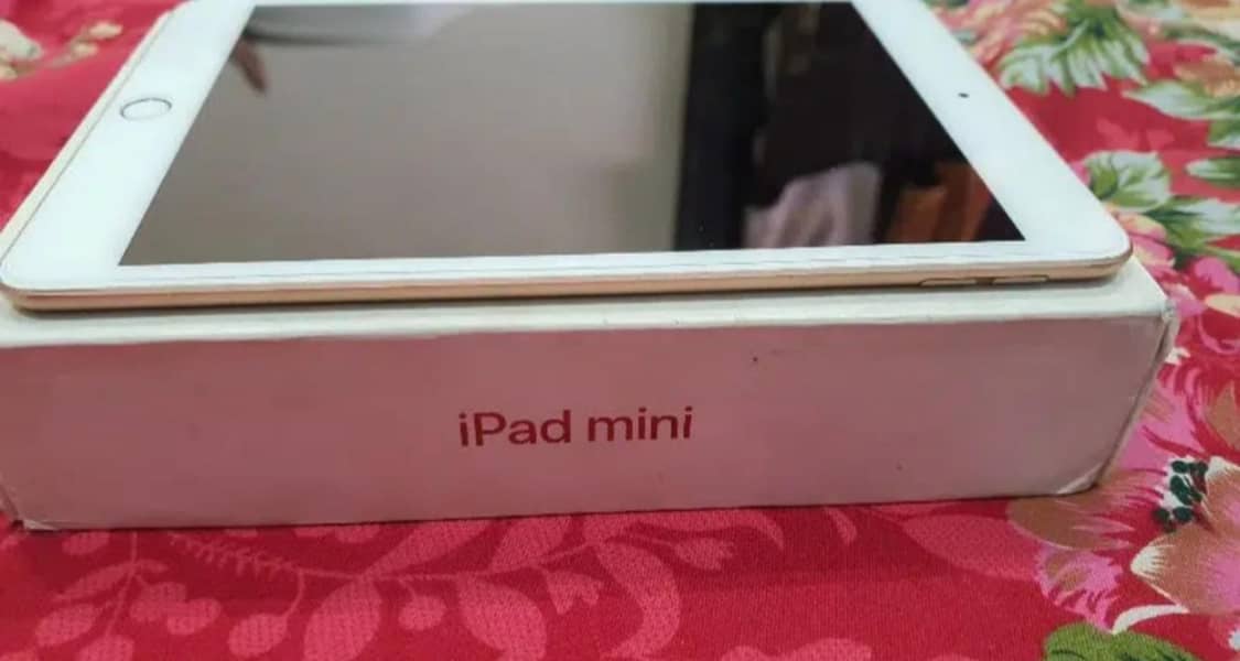 iPad Mini 5 1