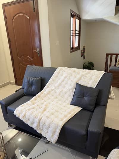 2 Seater leather Sofa
