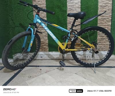 Imported Bicycle