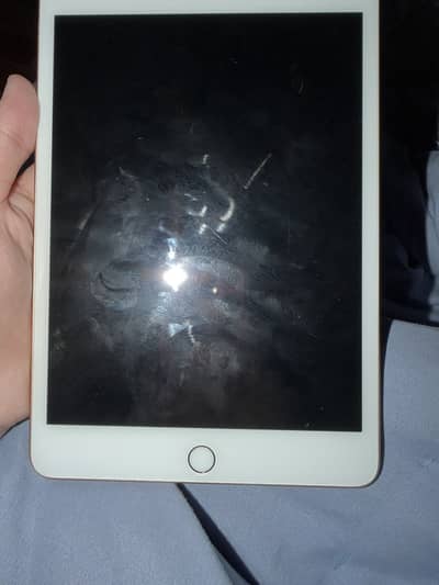 Ipad mini 5 with box 10/10 condition