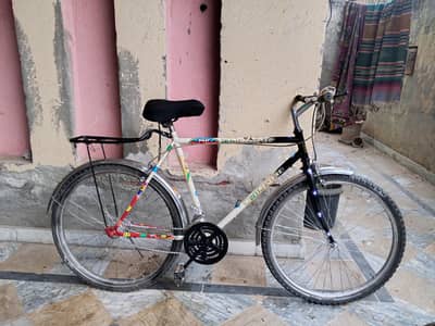 Bicycle Olympic Imported Bicycle 26  inch For Sale