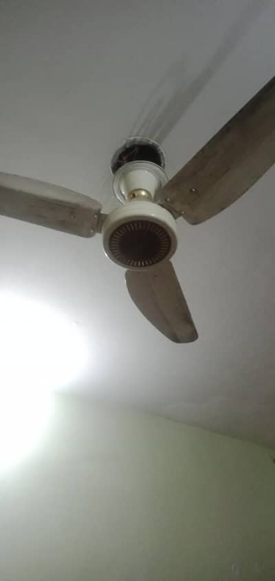 Pak Fan copper winding 220v  fol sale in good condition