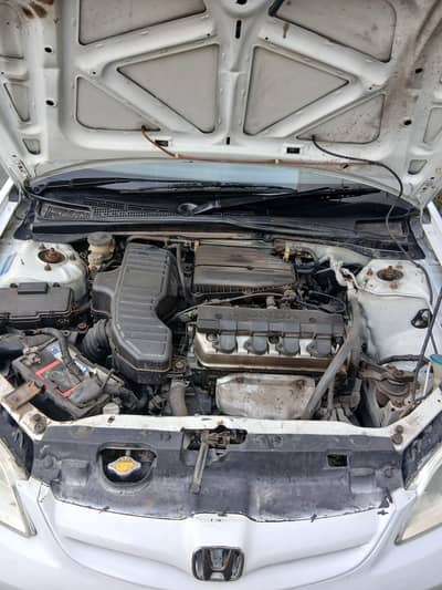 honda civic geniun car