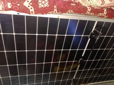 Canadian Solar plates Bifacial Monocrystalline Qty 8