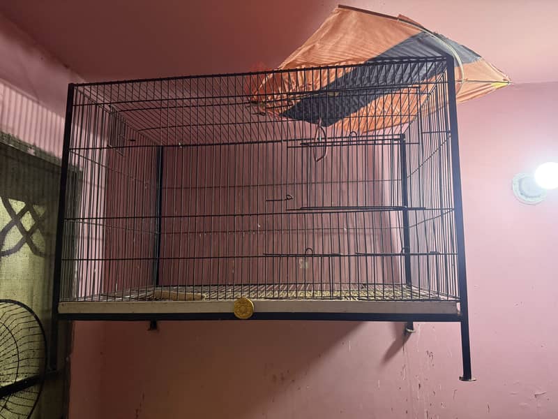 Complete love bird and java setup for sale 1