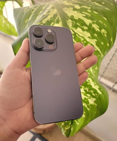 14 pro 256 gb PTA approved