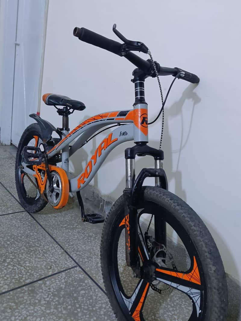 royal cycle medium 2