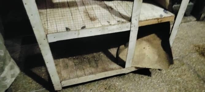 cage for hens and chicks