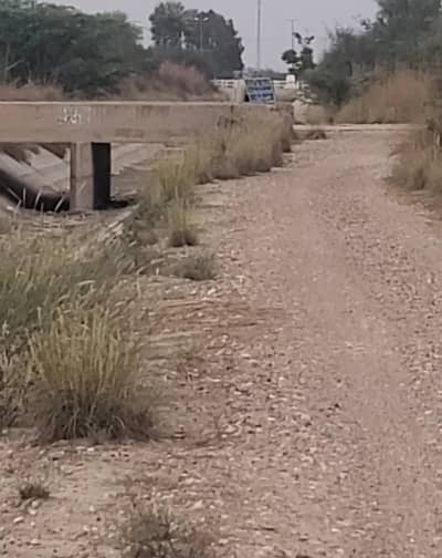 Developed Agriculture Land with Citrus Garden Available for Sale