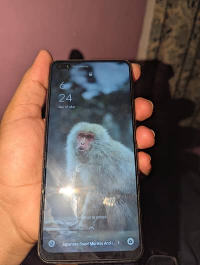 Oppo F17 Pro For Sale 8/128 GB