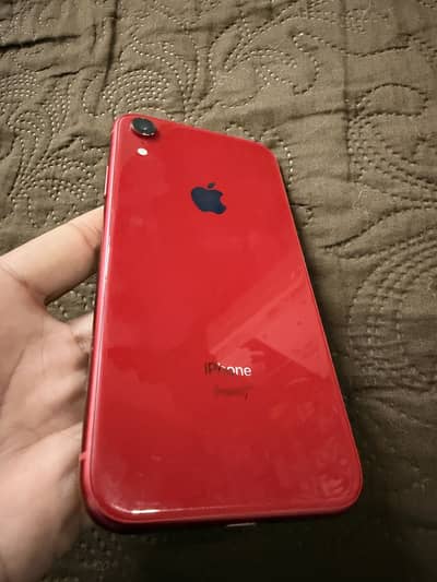 Iphone XR 64 gb