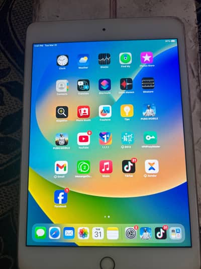 iPad Mini 5