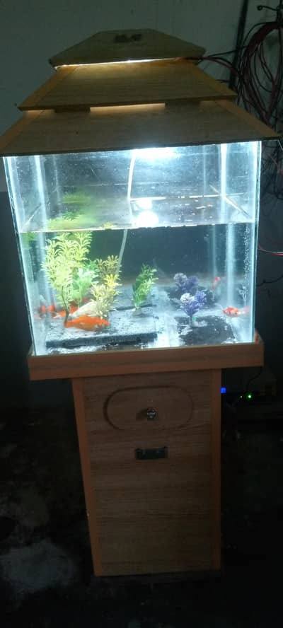 Fish Aquarium For Sale
