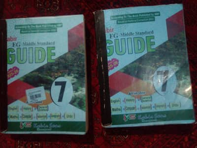 set of 7th grade books all books with 2 guideboo 0312548497ll subjects