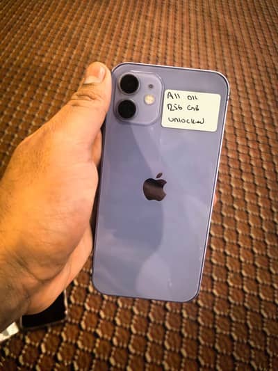 Apple iPhone 12 (256GB)