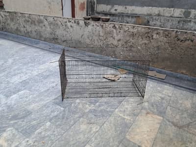 big size cage for parrots