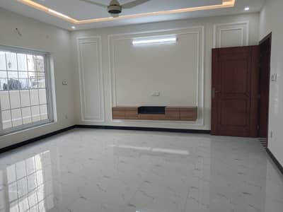 Luxury House For Rent