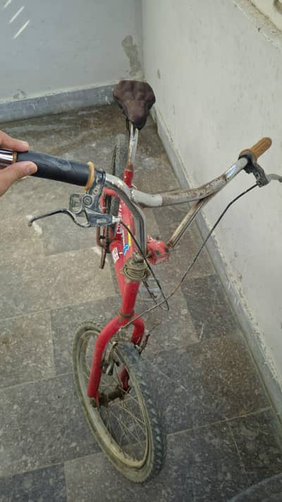 BMX cycle