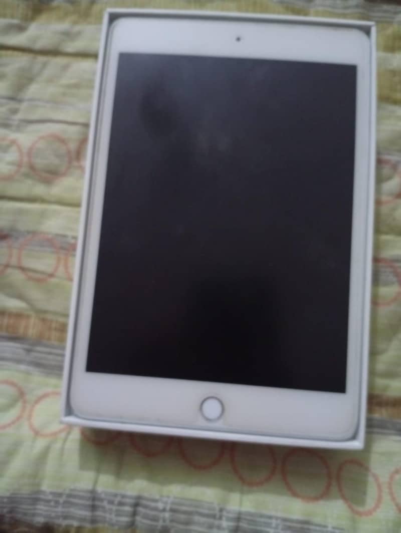 ipad mini 5 0
