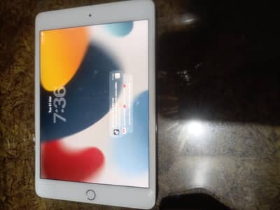 I pad mini 5 256 GB