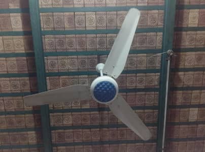 siling fans. 03004054538