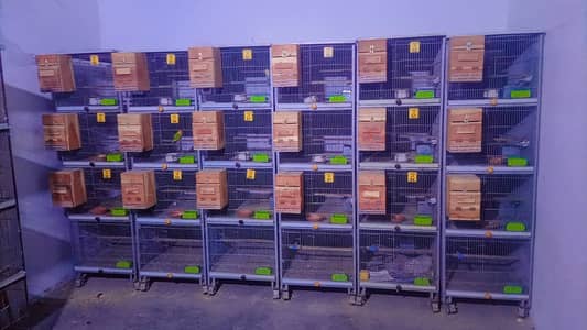 Cage / Birds cage / Parrot Cage / Pinjra / Iron Cage / پرندوں کا پنجر