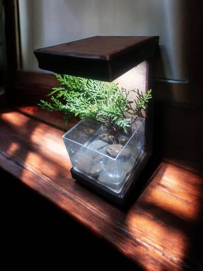 wooden lamp with light