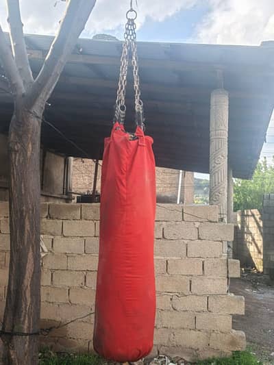 Punching Bag