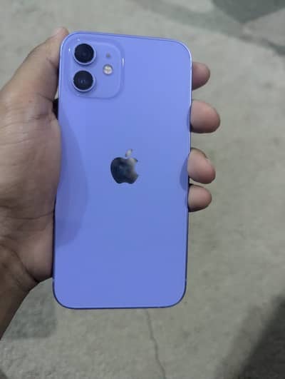 Iphone 12 pta approved