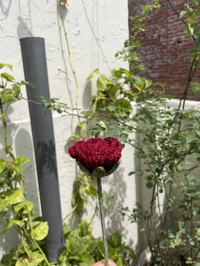 Crochet rose flower