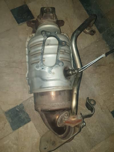 Honda REBIRTH Kabuli cat