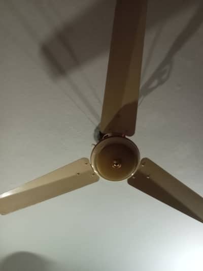 Ceiling fan for sale