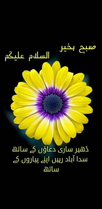 Haddi construction and repair work