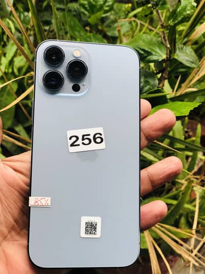 iPhone 13 Pro Max pta approved