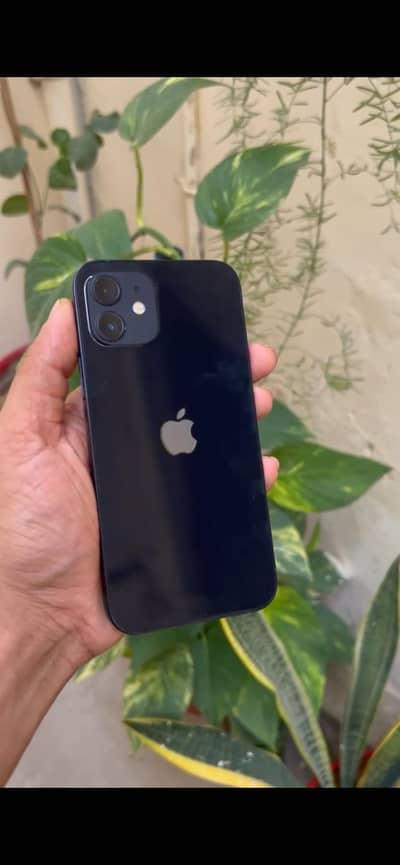 Iphone 12 pta approved