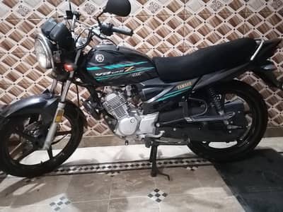 Yamaha yb125z Dx